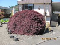 210 Shadow Ranch, Roseburg, OR 97470 