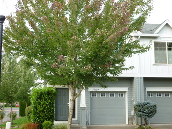 16195 SW Holland Lane, Sherwood, OR 97140 