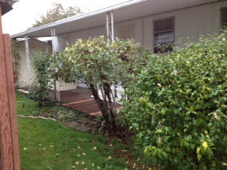 16901 SE Division Street Space # 22, Portland, OR 97236 