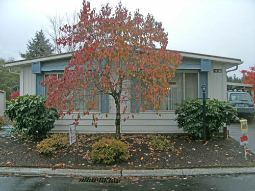 17146 SW Eldorado Dr, Tigard, OR 97224 