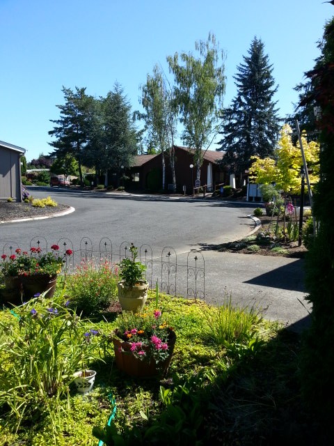 17199 SW Eldorado Dr, Tigard, OR 97224 