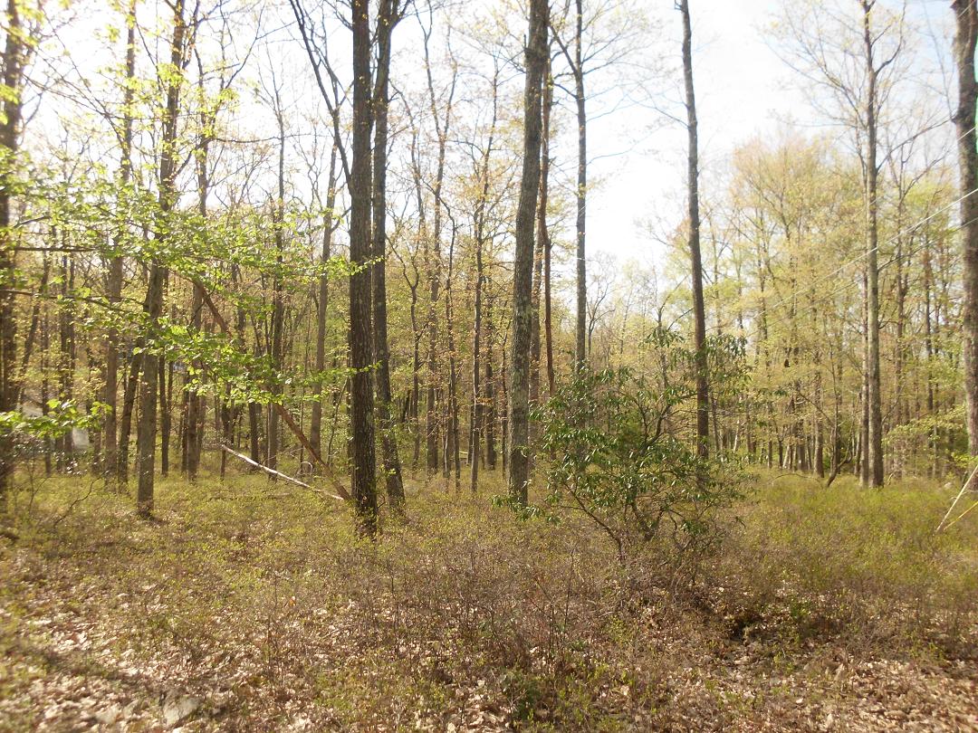 Lot 2 Log Tavern Drive, Milford, PA 18337 
