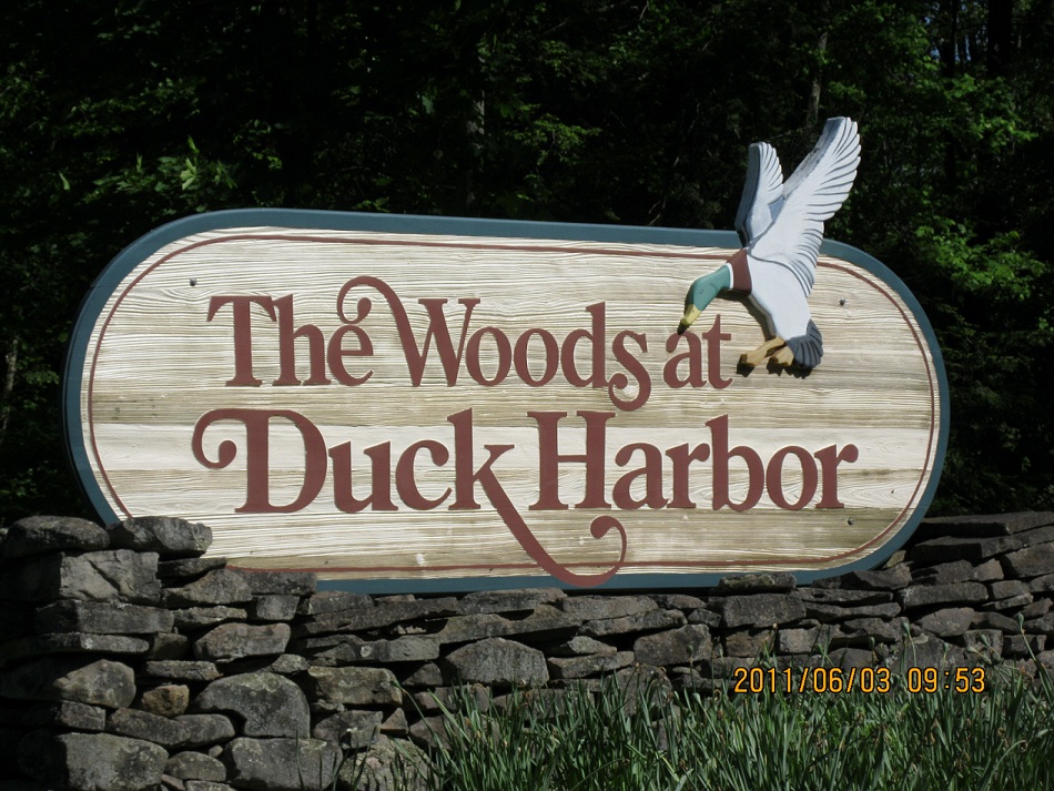 Lot 71 Old Woods Rd, Equinunk, PA 18417 