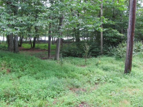 LOT 9ABC BLOCK A-3, Pocono Lake, PA 18347 
