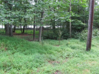 LOT 9ABC BLOCK A-3, Pocono Lake, PA 18347 