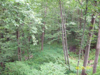 80 Joyce Street, Moosic, PA 18507 