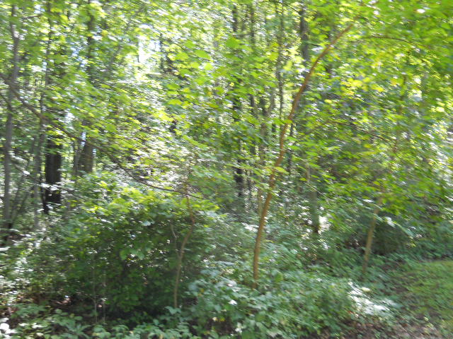 20 Doe Ln, Hanover, PA 17316 