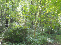 20 Doe Ln, Hanover, PA 17316 