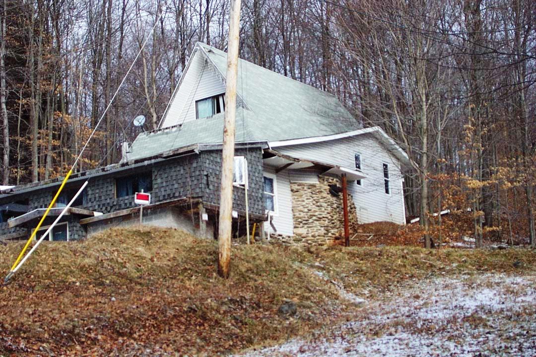 107 Shunkanier Ridge Rd, Shunk, PA 17768 