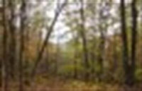 Lauxmont Farms Lot 19 (Apn# 35-000-, Wrightsville, PA 17368 