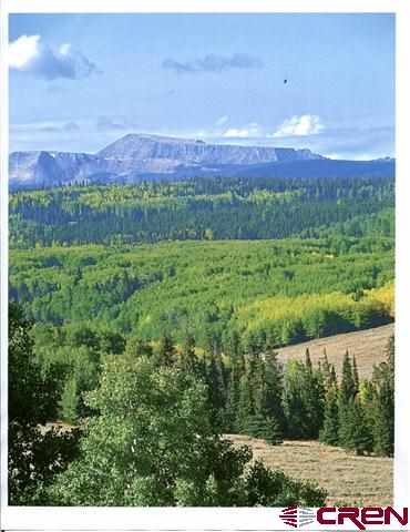 19101 Alpine Plateau Road, Cimarron, CO 19101 