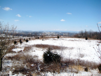 Lot Green Springs Rd., Hanover, PA 17331 