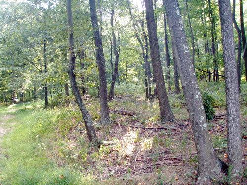 Charlestown Rd, Mercersburg, PA 17236 