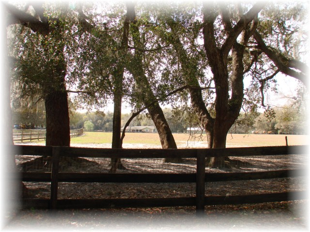 18370 NW 20 Avenue, Citra, FL 18370 