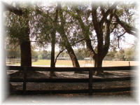 18370 NW 20 Avenue, Citra, FL 18370 