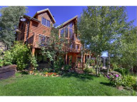 15690 COCHISE Trail, Pine, CO 15690 