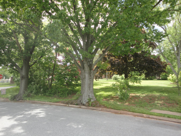 105 N BROAD STREET, Adamstown, PA 19501 