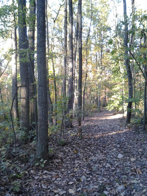 0 SHIRKTOWN ROAD, Narvon, PA 17555 