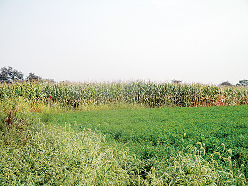 6230 W Canal Rd., Abbottstown, PA 17301 