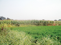 6230 W Canal Rd., Abbottstown, PA 17301 