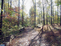 15 RUPPERTS SCHOOL RD, Fleetwood, PA 19522 