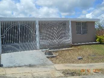 D48 Canaria St, Aibonito, PR 00705 