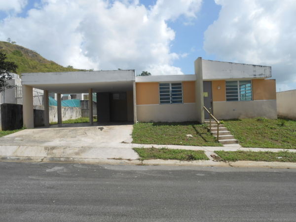 J-29 Guaynabo St Paseo De La Ceiba, Juncos Pr, PR 00777 