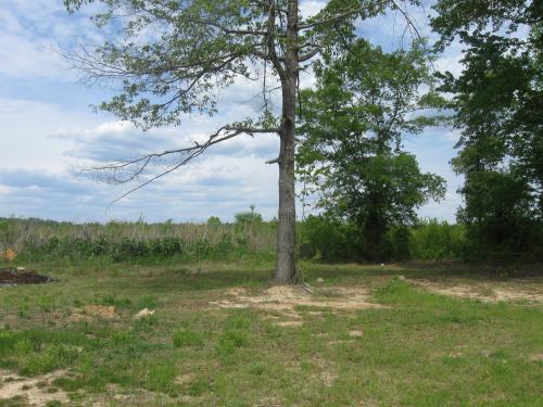 4685 PINESIDE DR, Rembert, SC 29128 