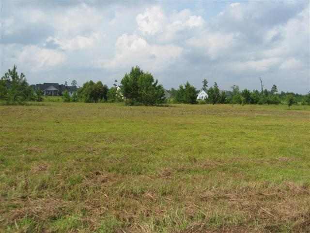 LOT 22 CAT TAIL BAY, CONWAY, SC 29527 