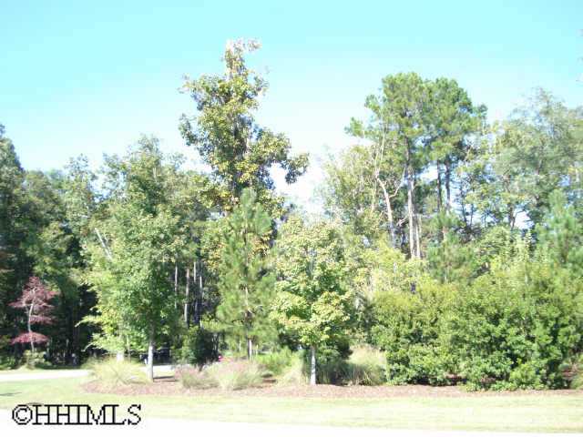 53  OLDFIELD VILLAGE RD, OKATIE, SC 29909 