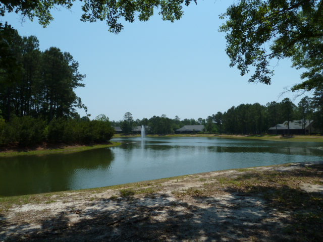 117  BLESSING DR, LOT 100, BLUFFTON, SC 29910 
