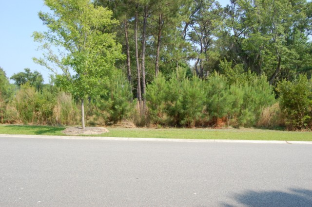 LOT 29 LIVE OAKS, BEAUFORT, SC 29910 
