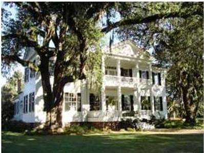 6295 RACCOON RD, Manning, SC 29102 