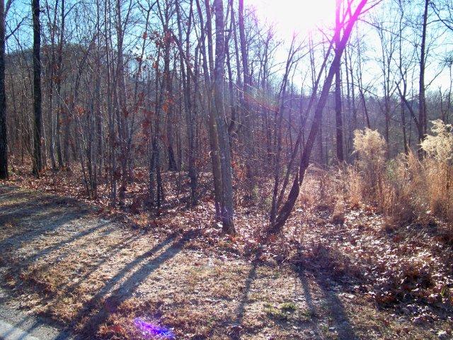 120 CROWNE HILL WAY LOT 205, MARIETTA, SC 29661 