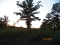 LOT 63 CLIFFS AT KEO, SALEM, SC 29676 