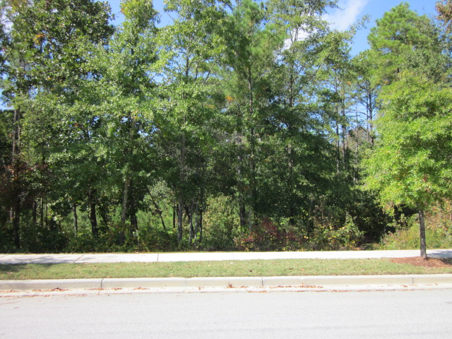 LOT 53 WOODLEIGH PARK, COLUMBIA, SC 29229 