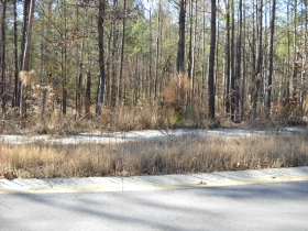 109 CONCORD ST, GOOSE CREEK, SC 29016 