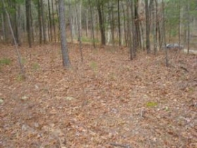 389 PRIMROSE, BLYTHEWOOD, SC 29016 