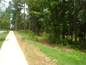 LOT 32 MILLS GROVE PARK, BLYTHEWOOD, SC 29016 