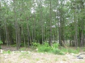 1421 RED SUNSET LN, BLYTHEWOOD, SC 29016 