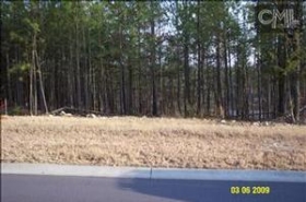 149 BLUE SPRUCE CT, BLYTHEWOOD, SC 29016 