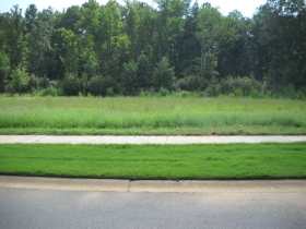 349 WOODLANDER DRIVE, COLUMBIA, SC 29016 