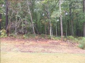 LT 349 PRIMROSE, BLYTHEWOOD, SC 29016 
