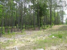 LOT 48 BLANDING RIDGE, BLYTHEWOOD, SC 29016 