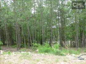 LOT 13 PRIMROSE, BLYTHEWOOD, SC 29016 