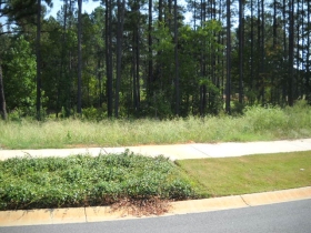 1052 COOGLER CROSSING DR, BLYTHEWOOD, SC 29016 