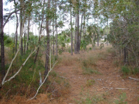 5  CRACKED CRAB CT LOT, OKATIE, SC 29909 