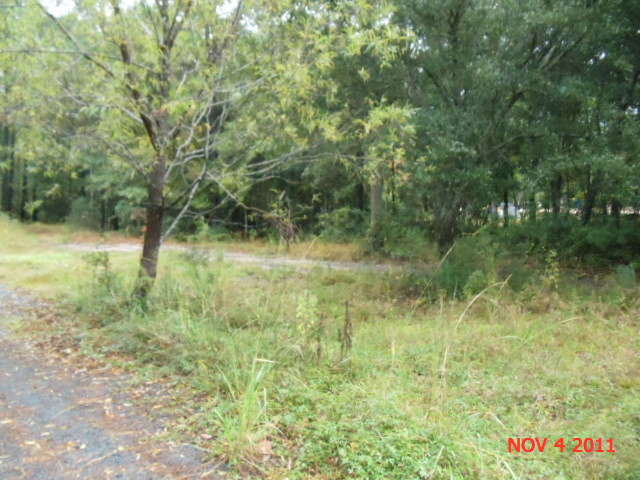 LOT 2 COVENANT PRESE, AWENDAW, SC 29429 