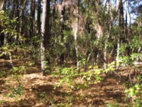 LOT 49 LIVE OAKS, BEAUFORT, SC 29902 