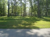 49  OLDFIELD VILLAGE RD LOT 532, OKATIE, SC 29909 